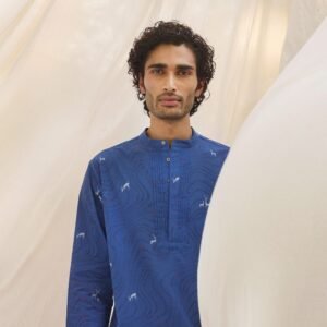 Front Pleat Kurta - Blue & White Printed
